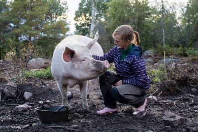 Nainen hoitamassa porsasta ulkona.