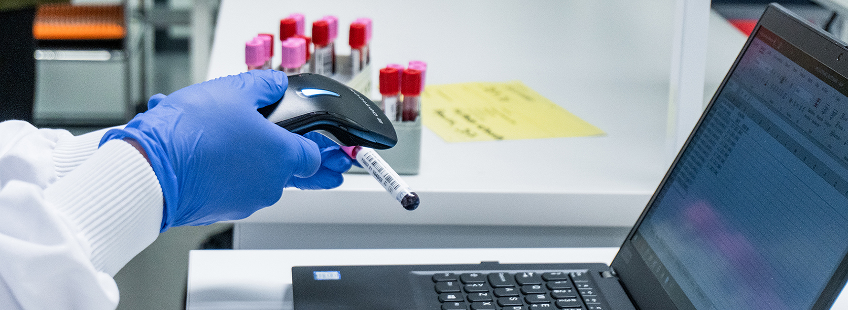 Sinisiin kumihansikkaisiin puetut kädet lukevat biopankin näyteputken viivakoodia.