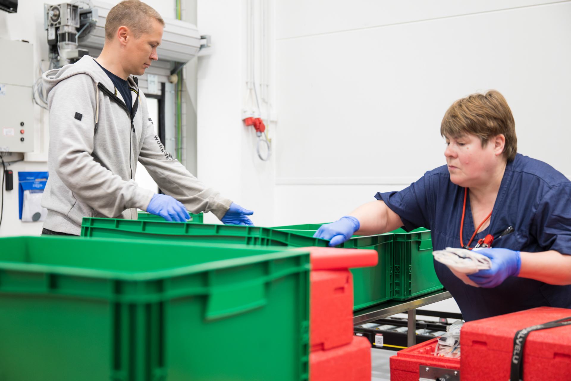 Veripalvelun työntekijät purkavat punasolupusseja laatikoista.
